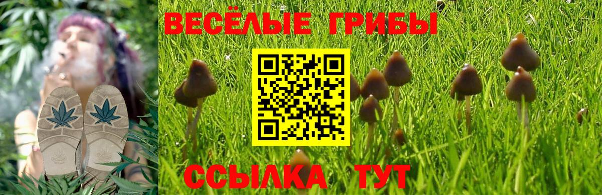 Псилоцибиновые грибы Psilocybine cubensis  наркота  Псилоцибиновые грибы мицелий  Кондопога  Вход с VPN 